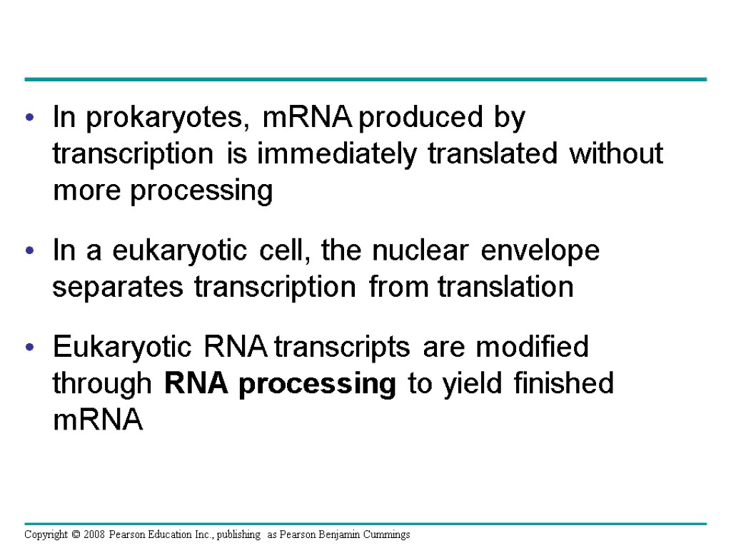 In prokaryotes, mRNA produced by transcription is immediately translated without more processing In a